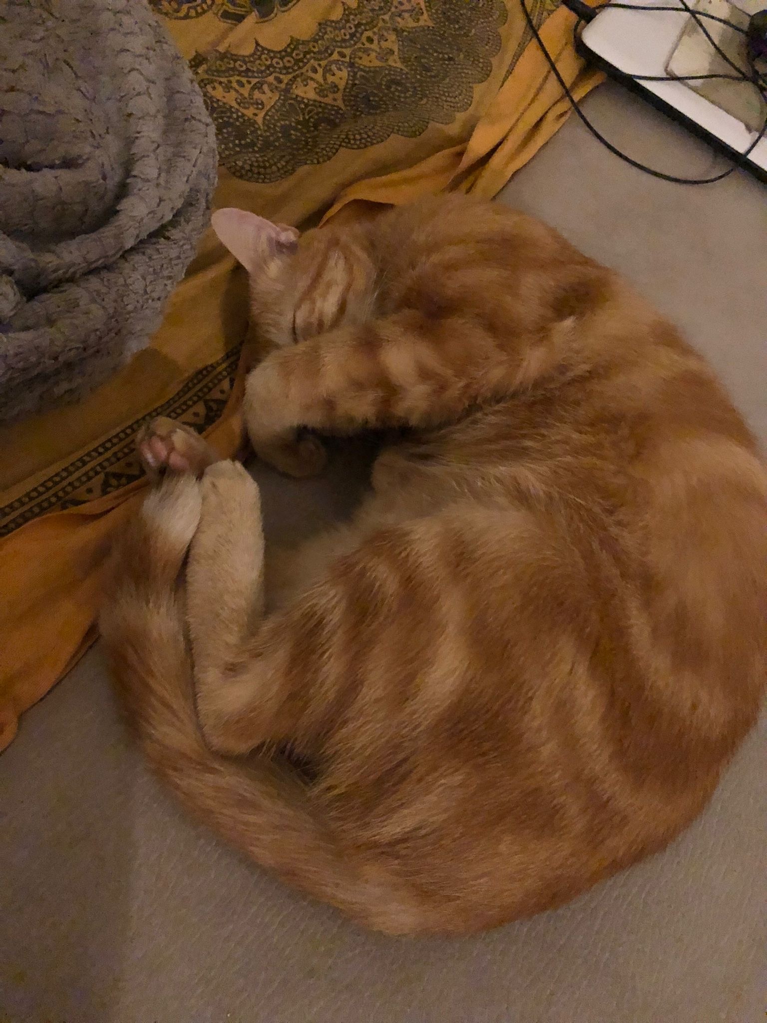 Profil de Archie, 20 ans, rencontre libertine à Saint-Benoît